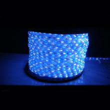 LED 藍白光水管燈
