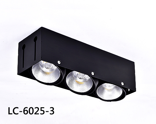 LED 天花板燈 LC-6025-3