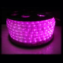 LED 粉紅光水管燈