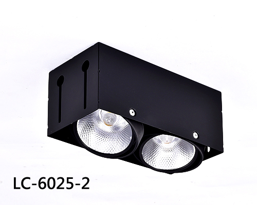 LED 天花板燈 LC-6025-2