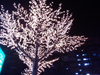 LED 梅花樹 / 櫻花樹