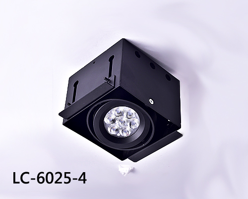 LED 天花板燈 LC-6025-4