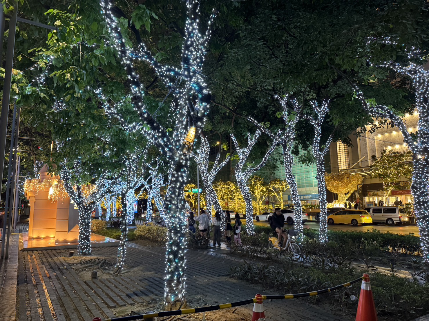 聖誕燈 白光串燈