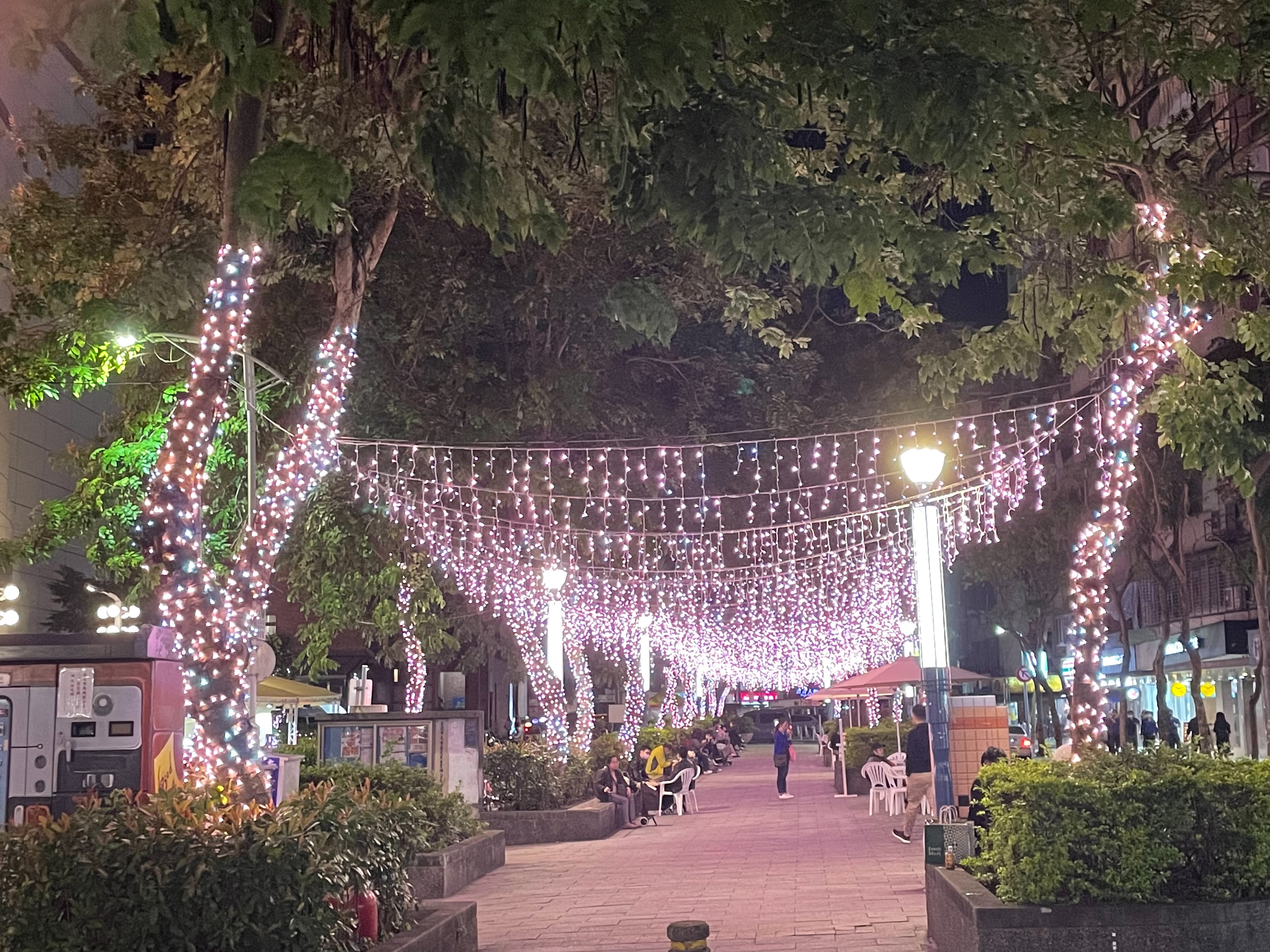 聖誕燈 玫瑰金+閃白冰燈