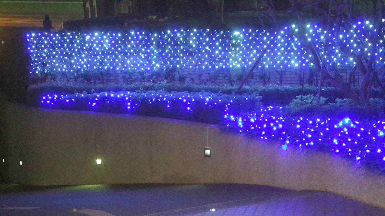 聖誕燈 藍白光網燈