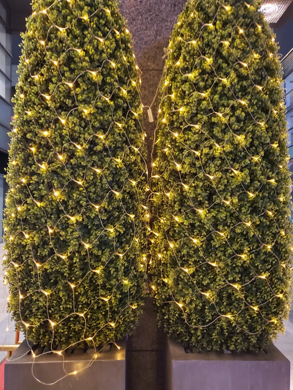 聖誕燈 暖白光網燈