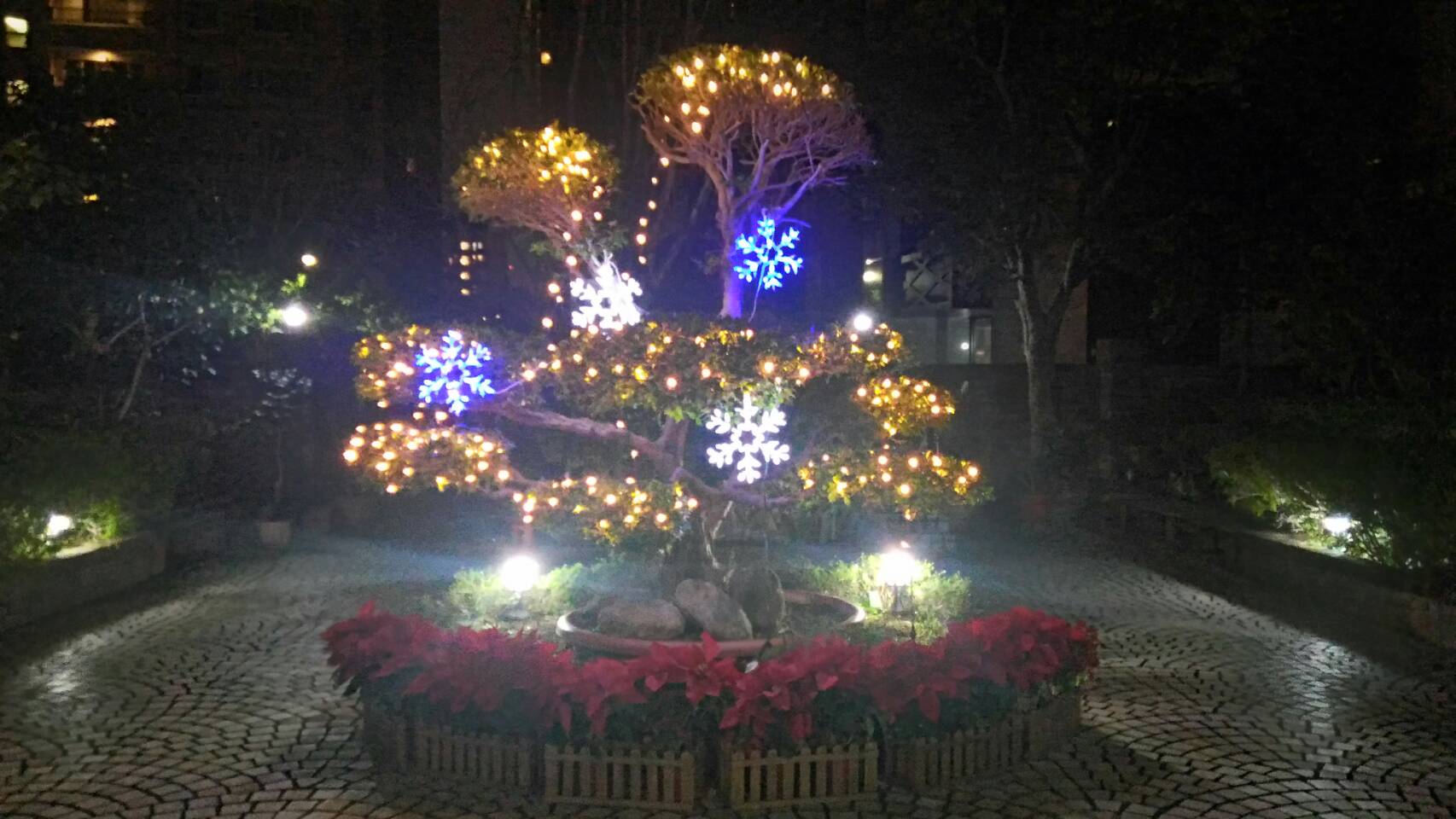 聖誕燈 閃亮藍白四雪花組