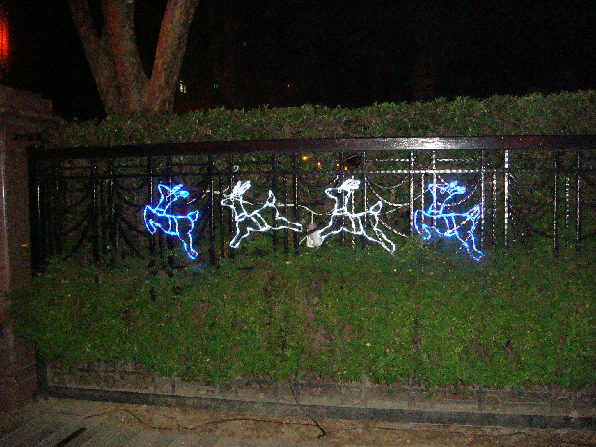 聖誕燈 閃亮藍白跳躍四小鹿