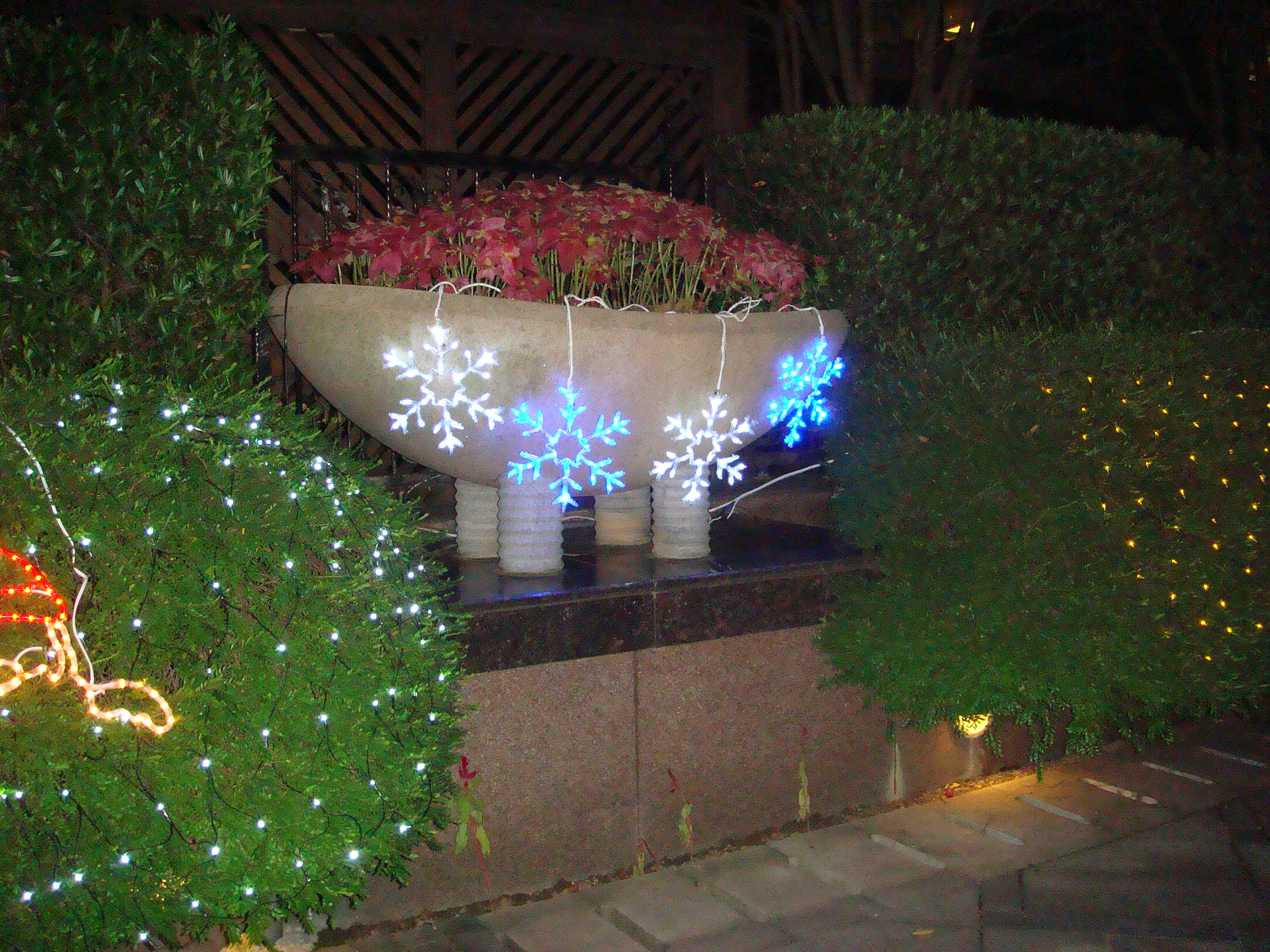 聖誕燈 閃亮藍白四雪花組