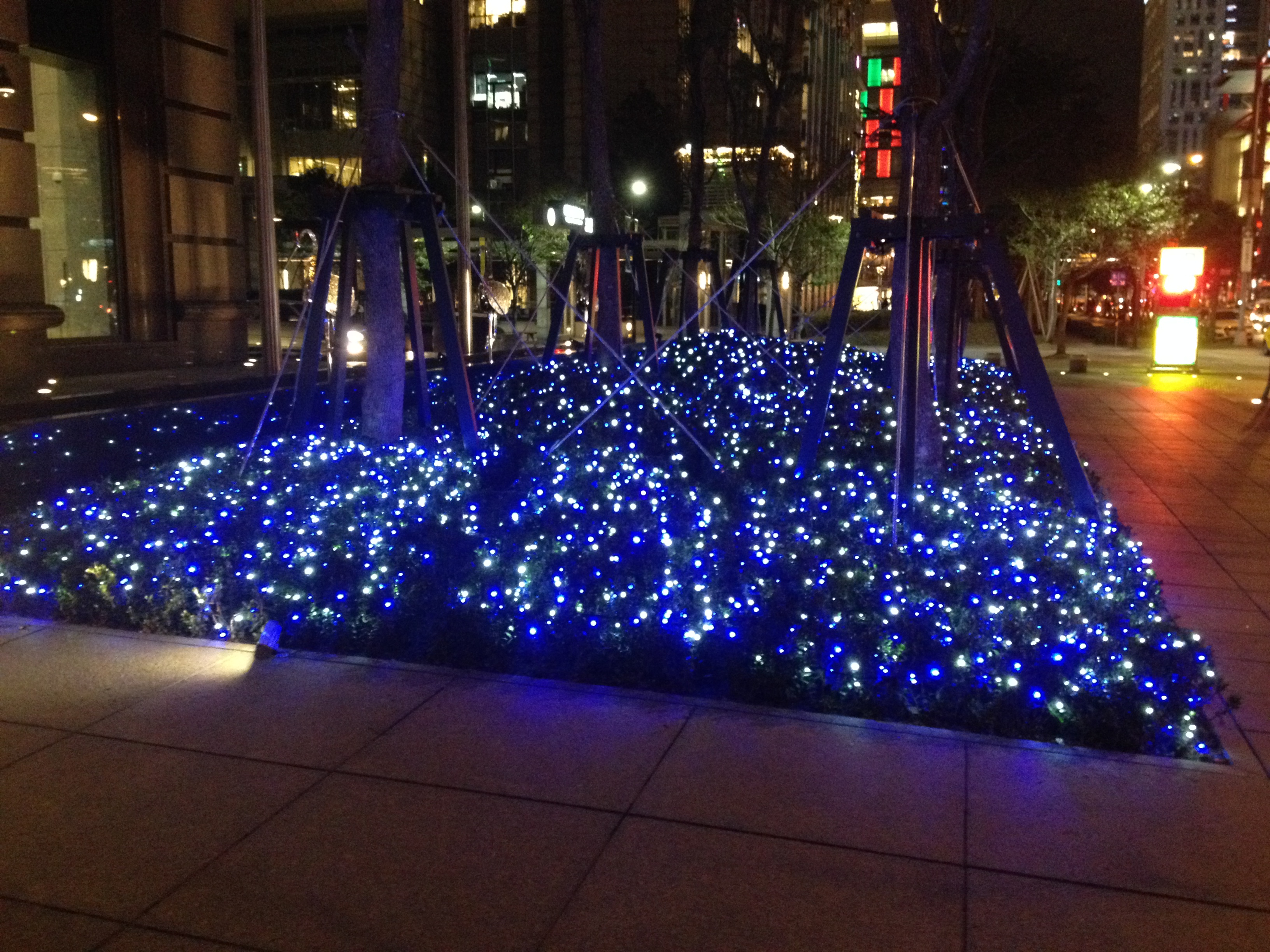 聖誕燈 藍白光串燈