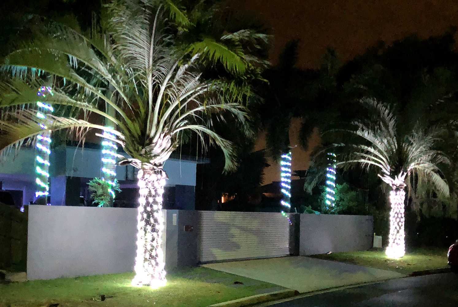 聖誕燈 白光網燈