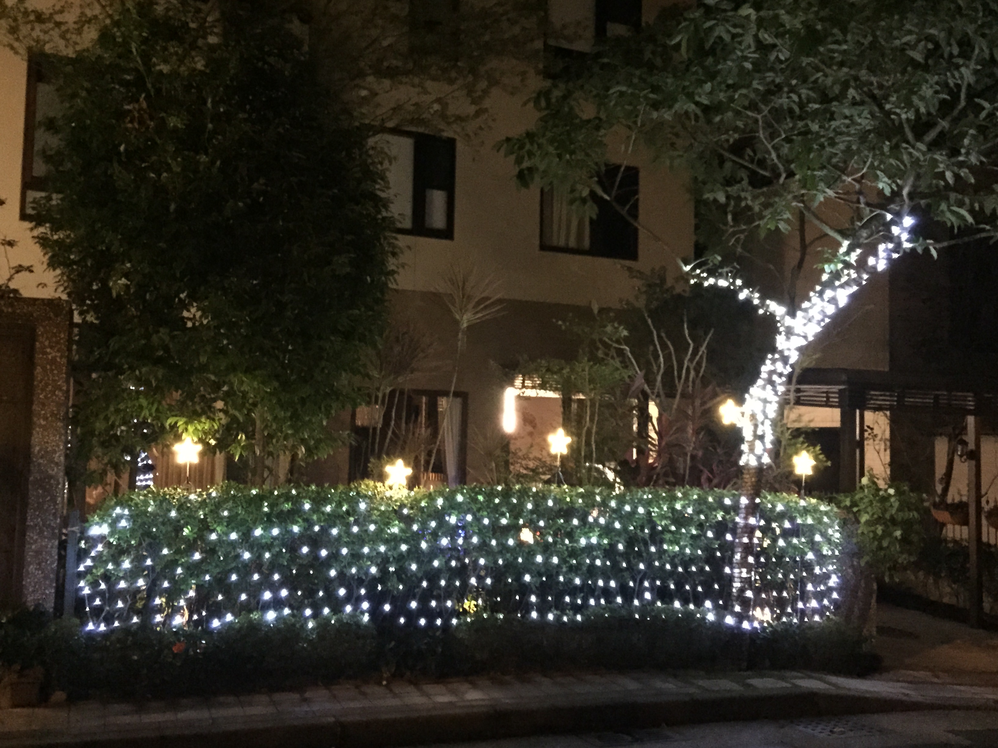 聖誕燈 白光網燈