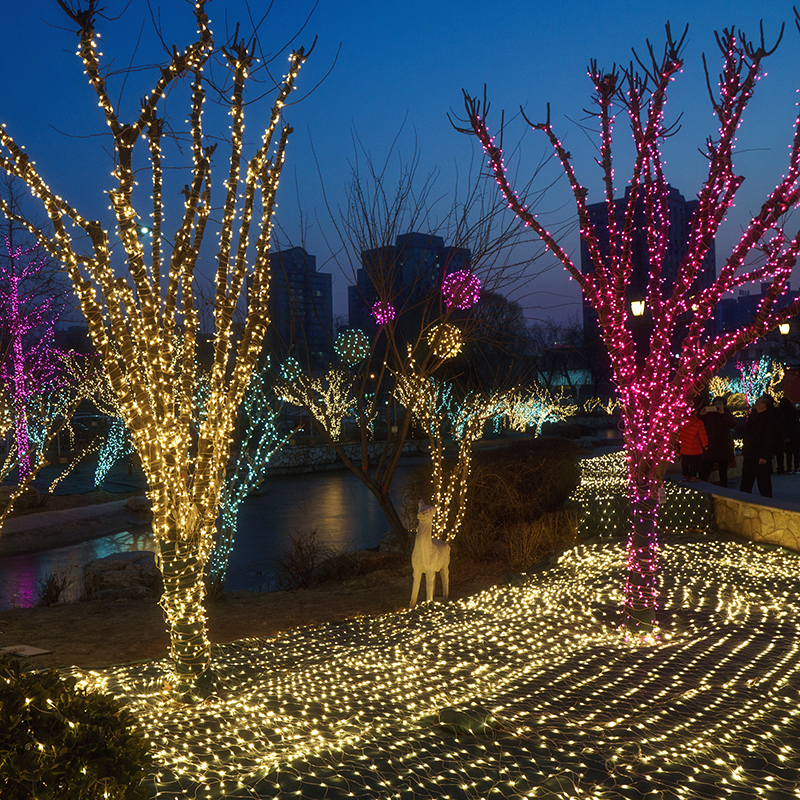 聖誕燈 粉紅光串燈