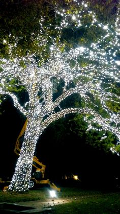 聖誕燈 白光串燈