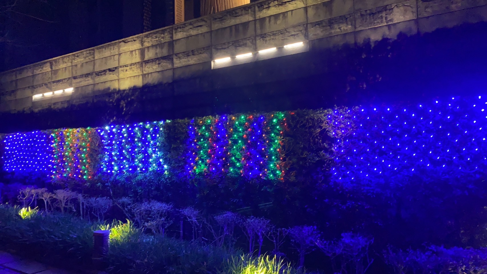 聖誕燈 紫光網燈