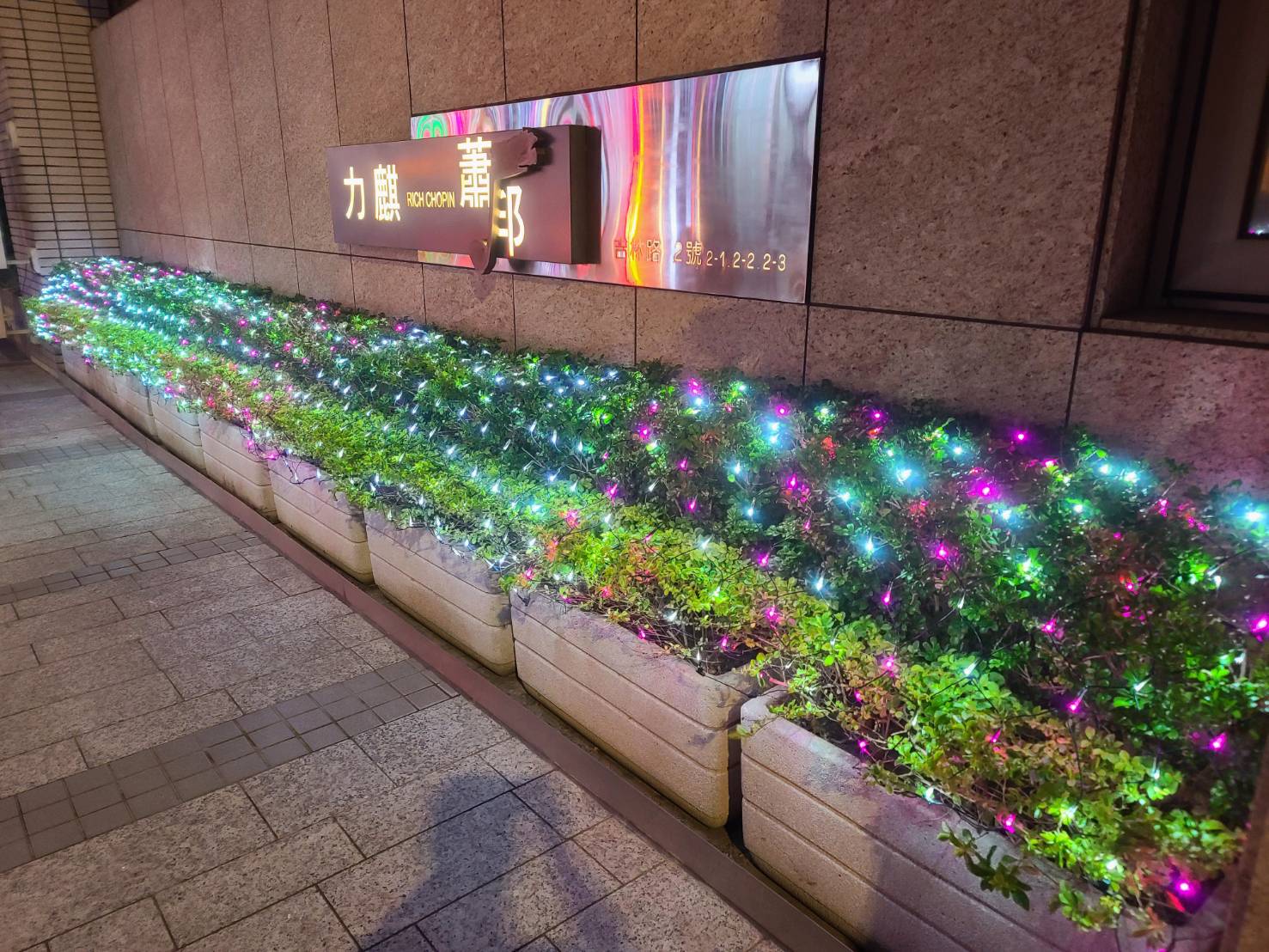 聖誕燈 粉白光網燈