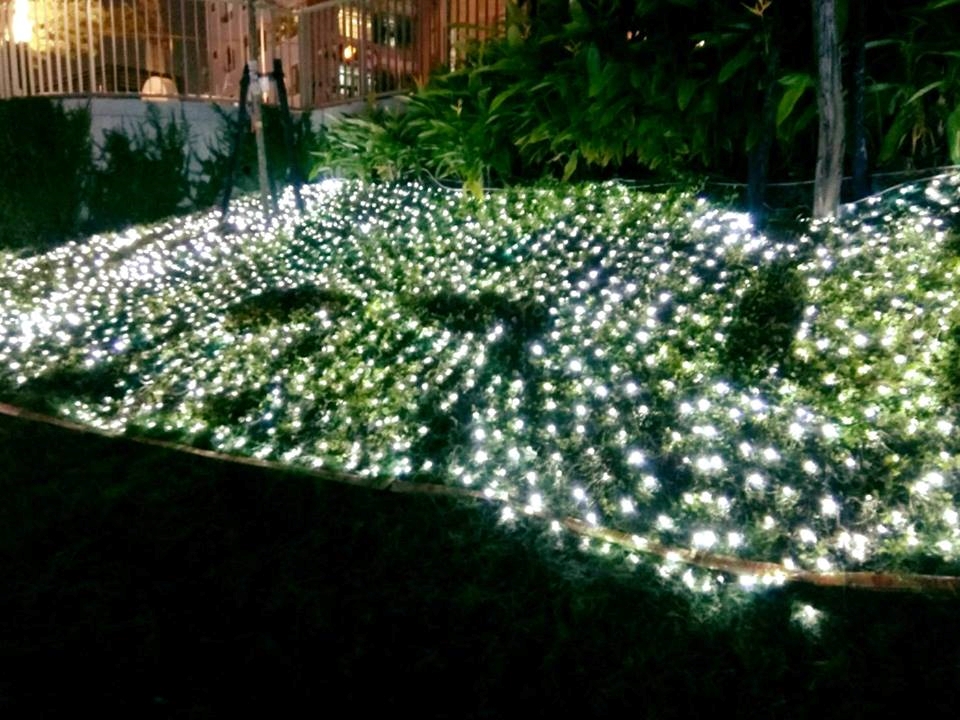 聖誕燈 白光網燈