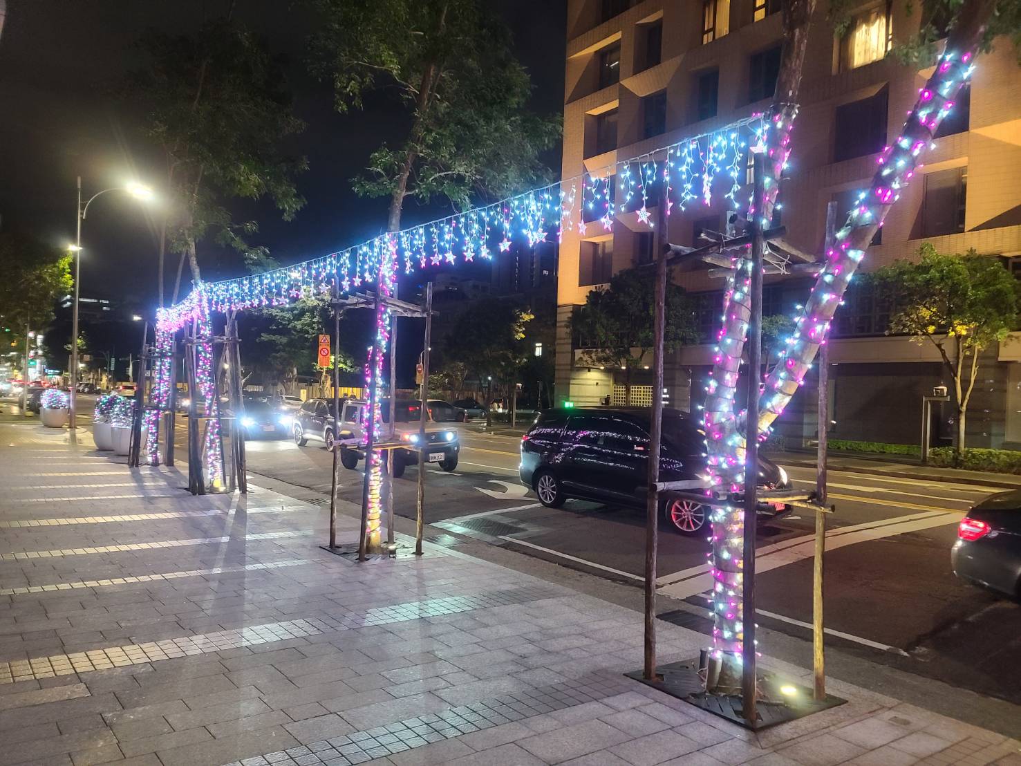 聖誕燈 藍白小雪花冰燈